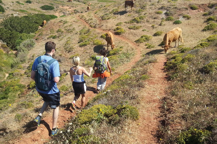 Hiking