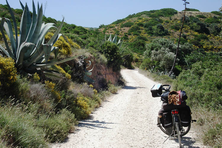 Paseos en bicicleta