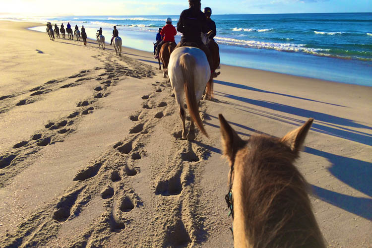Passeios a cavalo